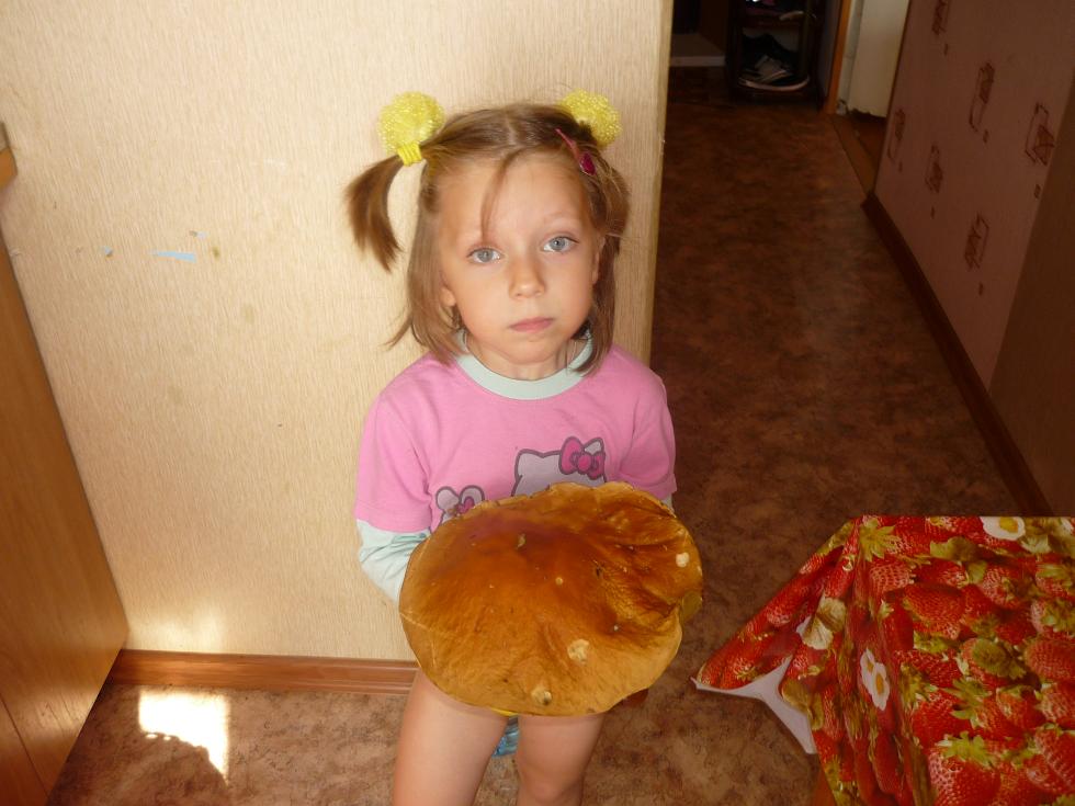 большой гриб.JPG