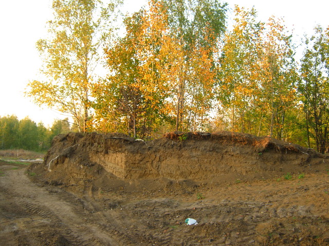 IMG_6523.jpg