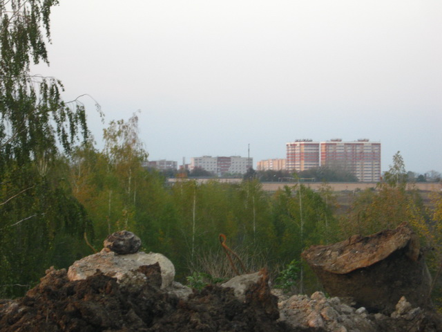 IMG_6542.jpg