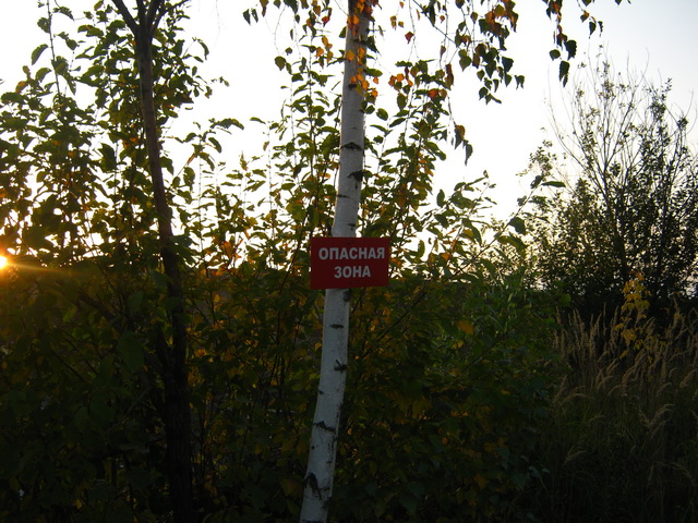 IMG_6525.jpg
