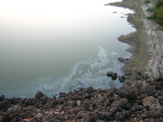 IMG_6543.jpg