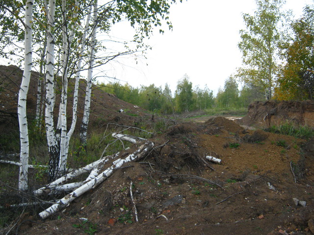 IMG_6580.jpg