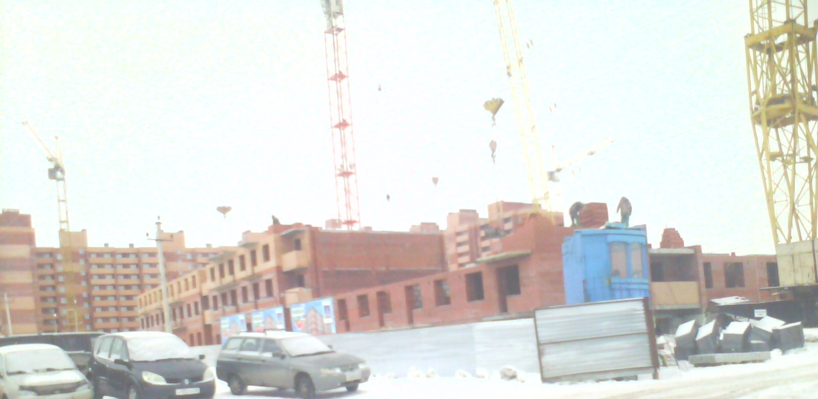 IMG0075A.jpg