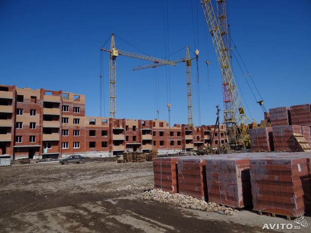 322169114.jpg