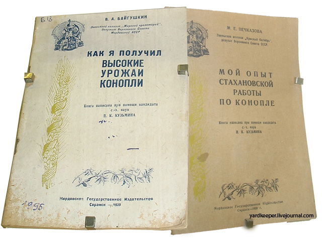 конопля.jpg