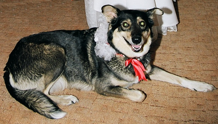 Дива на свадьбе.jpg