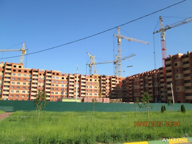 429774609.jpg