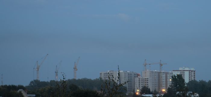 DSC_0088.jpg