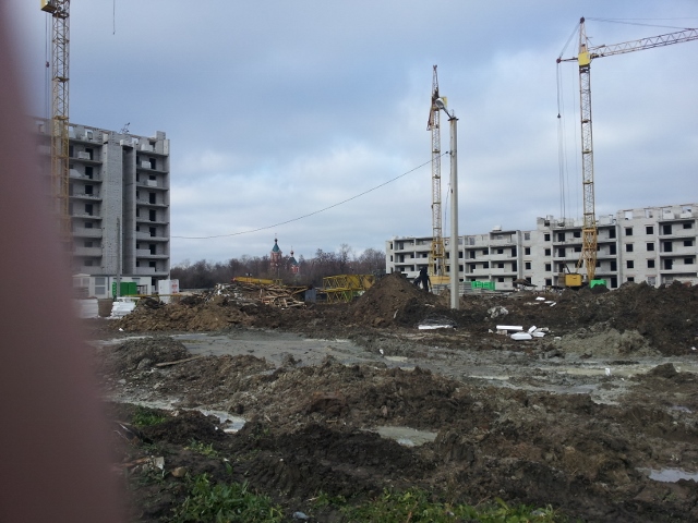 20131109_121442 (640x480).jpg