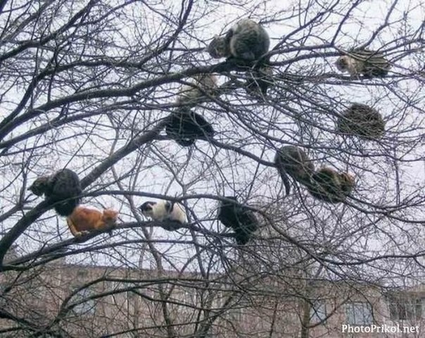 У Глена каникулы.jpg