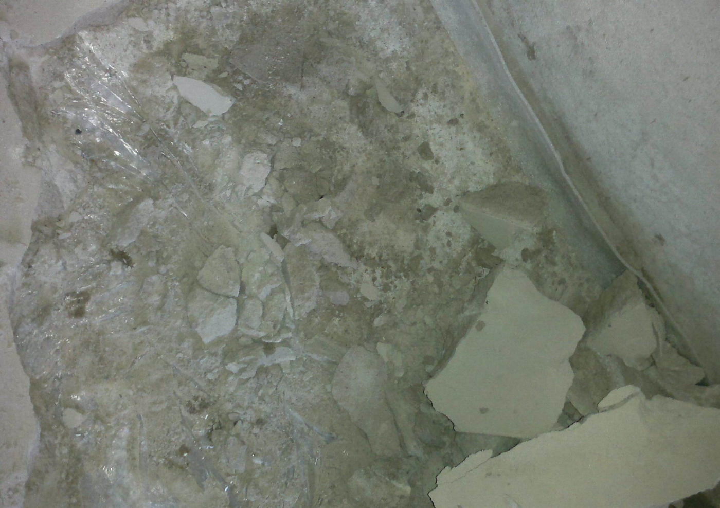 25052014466_4.jpg