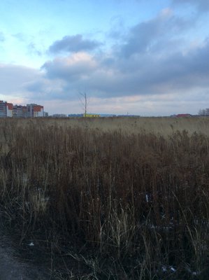 19.JPG