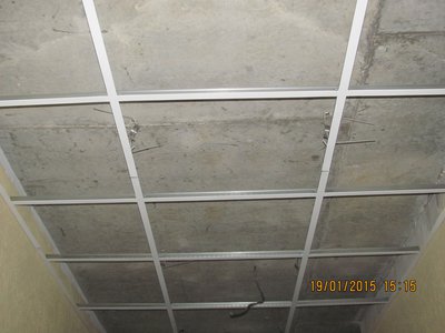IMG_0377.JPG