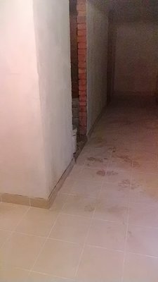 P_20150129_162642.jpg
