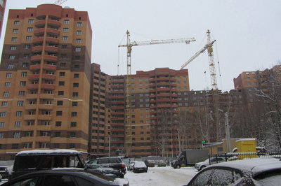 IMG_1113_1.jpg
