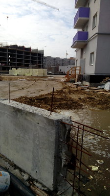 IMG_20150422_084341.jpg